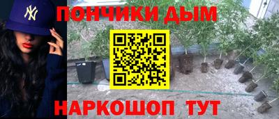 стаф Кулебаки