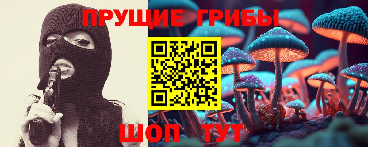 Галлюциногенные грибы Psilocybine cubensis Домодедово