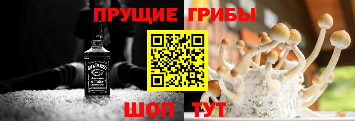 Псилоцибиновые грибы MAGIC MUSHROOMS  Вход с VPN  Домодедово  Псилоцибиновые грибы Psilocybine cubensis 